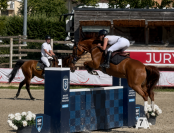 Jument SF de 5 ans sans faute 120-125 moyens 135
