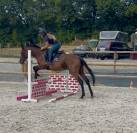 Jument PS 1m58 3,5 ans 