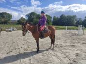 Naguini, jeune cheval prometteur ✨