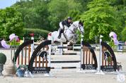 Cheval &agrave; vendre de 13 ans saute 1.40-45 