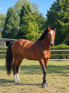 &Agrave; vendre 