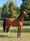&Agrave; vendre 