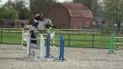 Jument d'exception en saut d'obstacles + excellent &eacute;lev