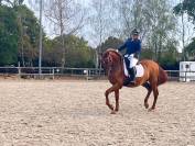 &Agrave; vendre Imperioso PRE