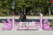 Ponette Connemara 17 ans