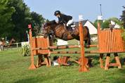Ponette Connemara 17 ans