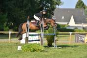 Ponette Connemara 17 ans