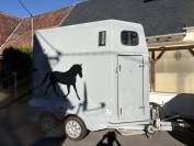 Van cheval BARBOT 1 place
