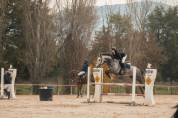 IN VENDITA PULEDRA 5 ANNI ITALIANA-ZONA PERUGIA