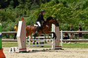 Pony  straordinaria 