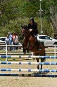 Pony  straordinaria 