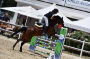 Pony  straordinaria 