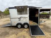 Van cheval libert&eacute; 2 places oblic avec sellerie 