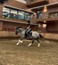 Magnifique Jument CDE 4 ans