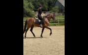 DP Espagnol 6 ans