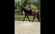 DP Espagnol 6 ans