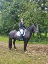 Cheval PRE