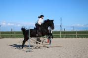 Cheval PRE