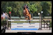 Hongre 9ans - Super coup de saut