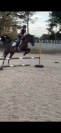 Jument 4ans