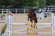 Ocasion, pony D