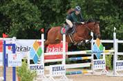 Ocasion, pony D