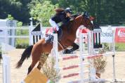 Ocasion, pony D