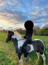 Super ponette 1.33m 