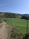 Pensione Naturale per Cavalli a Riposo