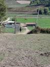 Pensione Naturale per Cavalli a Riposo