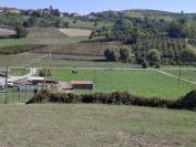 Pensione Naturale per Cavalli a Riposo