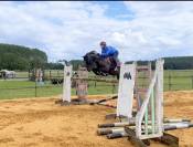 Cheval pour cavalier confirm&eacute; - d&eacute;licat/ &eacute;motif