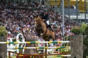 Poulain SF qoud'coeur de la loge x rosire 