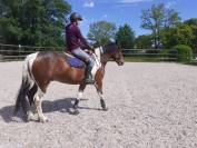 Cheval de loisir 6 ans