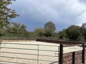 Stud farm  Calvados