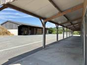 Stud farm  Calvados