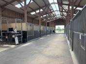 Stud farm  Calvados