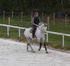 Cheval de CSO-12 ans- Facile, g&eacute;n&eacute;reux avec gros moyens