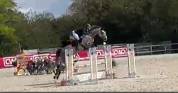 Cheval de CSO-12 ans- Facile, g&eacute;n&eacute;reux avec gros moyens