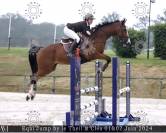  Hongre Selle Fran&ccedil;ais &ndash; 15 ans &ndash; 1m70 &ndash; Bai