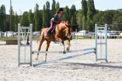 Dune des Cyclades - jument pour sport/loisirs de 13ans 