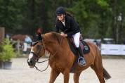 Dune des Cyclades - jument pour sport/loisirs de 13ans 