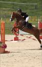 Ponette de Sport 12ans
