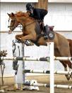 Ponette de Sport 12ans