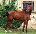 Top 6 ans pour amateur ambitieux 