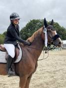 ✨ COME ON AVEL MOR ✨ Selle Fran&ccedil;ais &ndash; 14 ans &ndash; par Kann