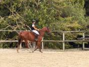 Jument SF 3 ans &ndash; Casallo Z &times; Kannan &ndash; 168 cm