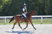 Jeune cheval 3 ans CSO - CCE