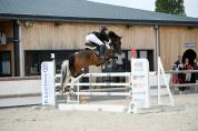 Hongre potentiel 135