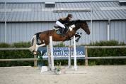 Hongre potentiel 135